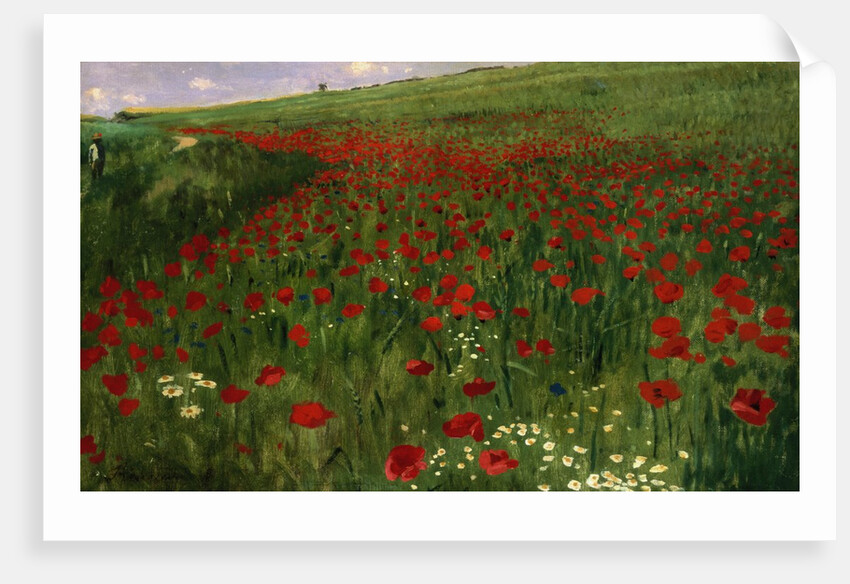 The Poppy Field, 1896 by Pal Szinyei Merse