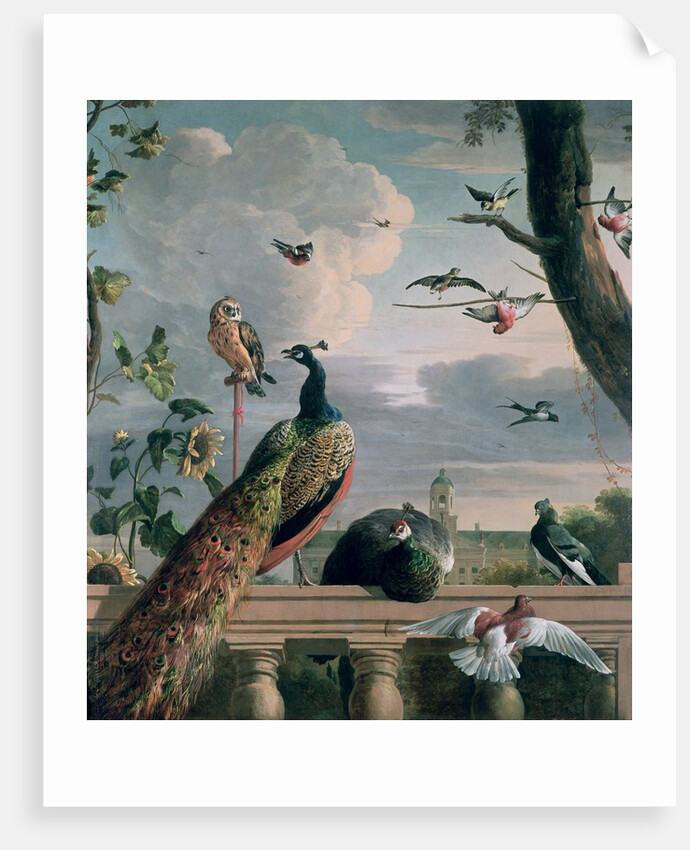 Palace of Amsterdam with Exotic Birds by Melchior de Hondecoeter