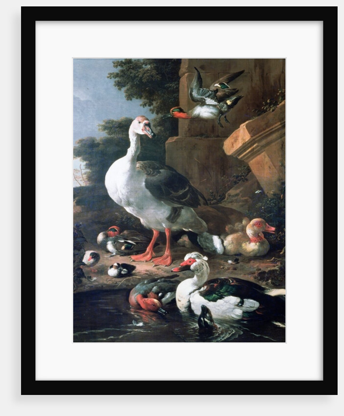Waterfowl in a classical landscape, 17th century by Melchior de Hondecoeter