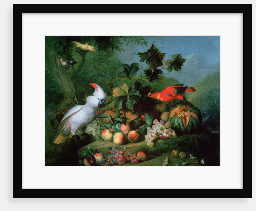 Fruit and Birds by Jakob Bogdani or Bogdany