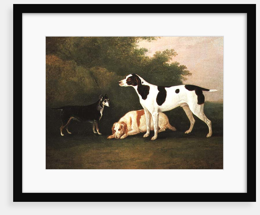 Three Dogs in a Landscape by John Boultbee
