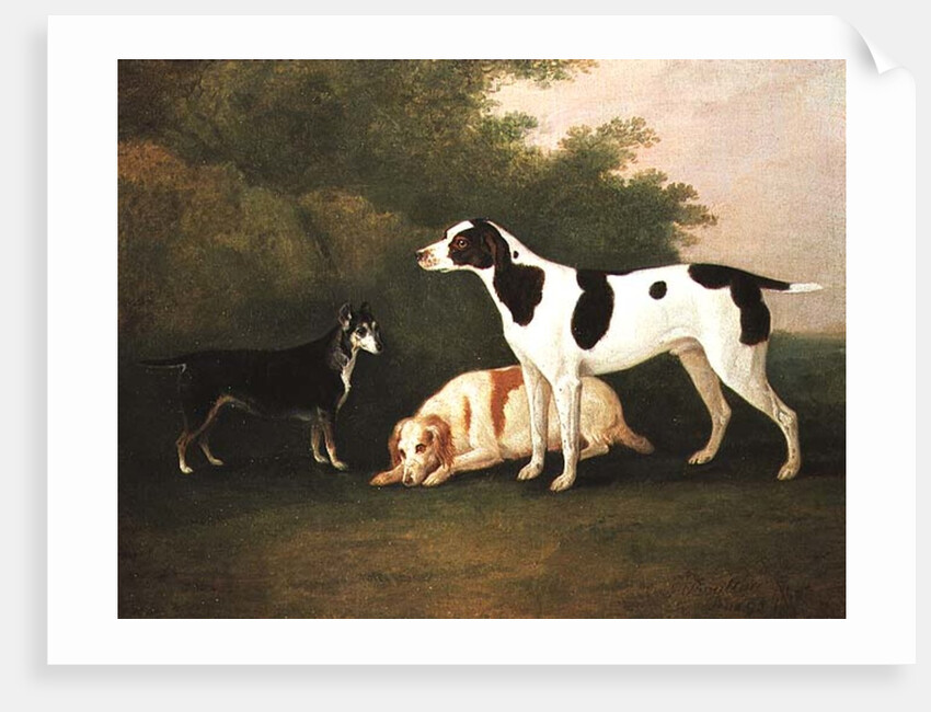 Three Dogs in a Landscape by John Boultbee
