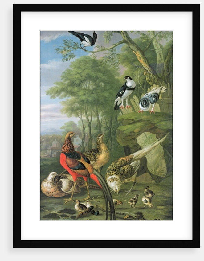 Cock pheasant, hen pheasant and chicks and other birds in a classical landscape by Pieter Casteels