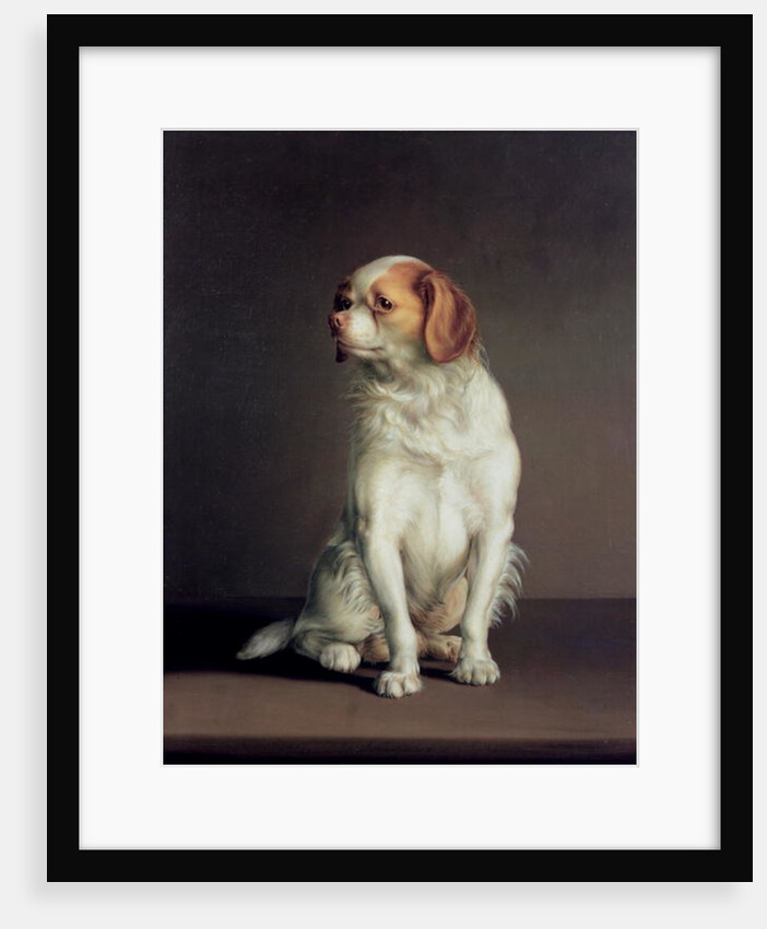 Portrait of a King Charles Spaniel by Louis Leopold Boilly