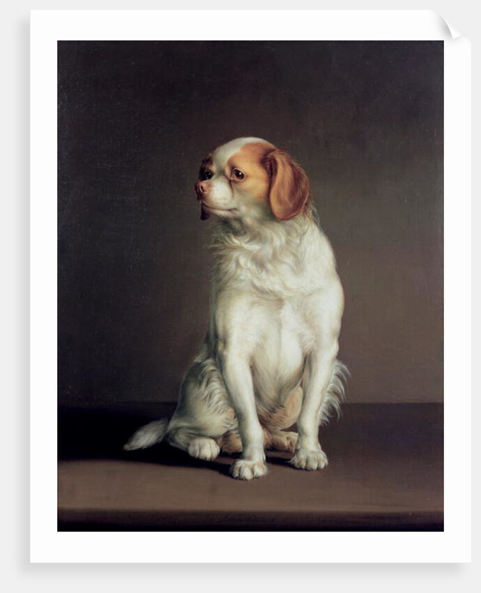 Portrait of a King Charles Spaniel by Louis Leopold Boilly
