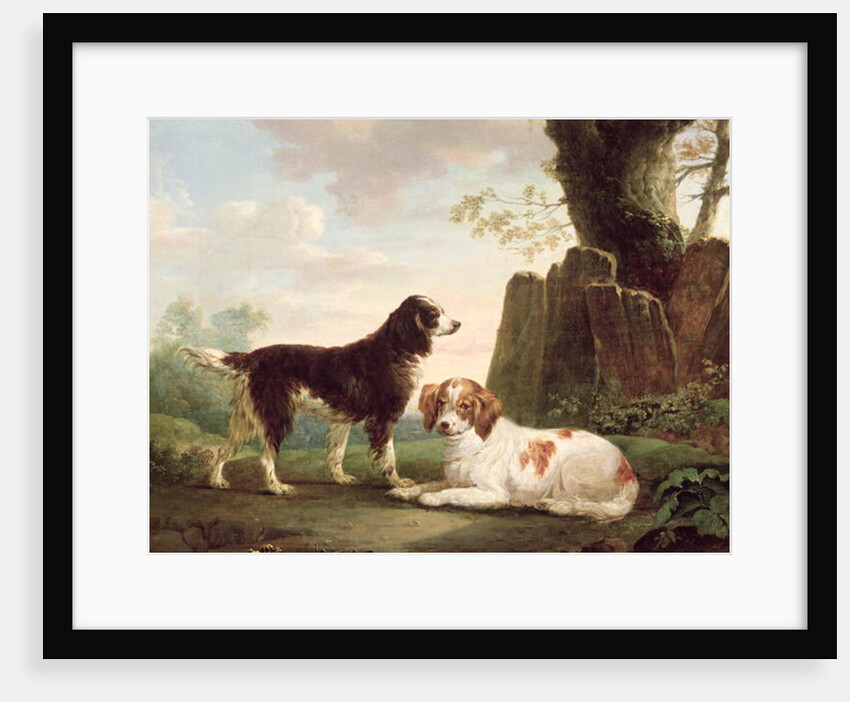 Two spaniels in a landscape by Charles Towne