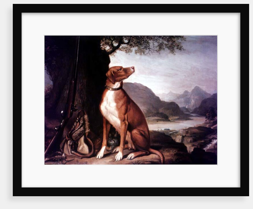 G. M. Johnston's favourite gun dog in a landscape by J. Francis Sartorius