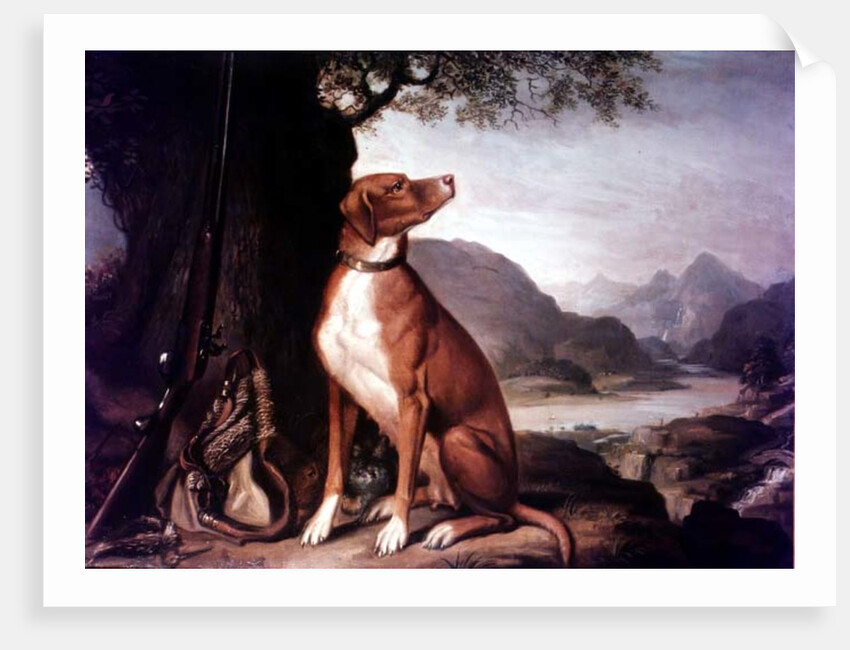 G. M. Johnston's favourite gun dog in a landscape by J. Francis Sartorius