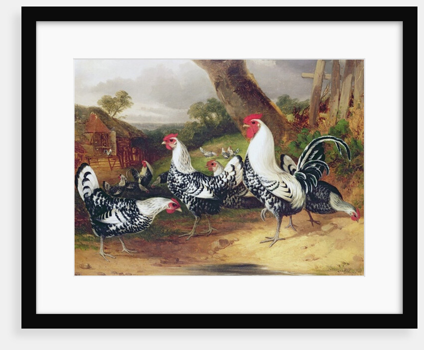 Cockerels in a Landscape by William Joseph Shayer