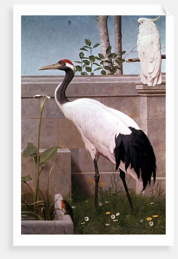 Manchurian Crane, Cockatoo and Robin by Henry Stacy Marks