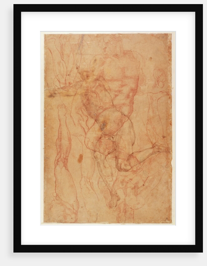 Figure Study by Michelangelo Buonarroti