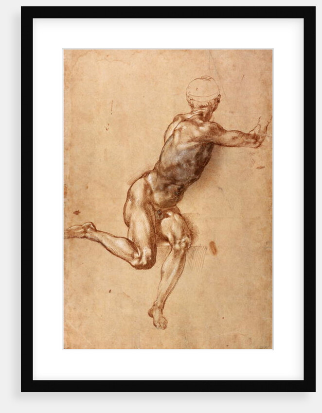 A seated male nude twisting around, c.1505 by Michelangelo Buonarroti