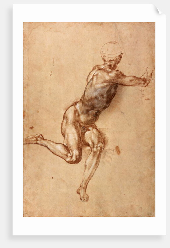 A seated male nude twisting around, c.1505 by Michelangelo Buonarroti