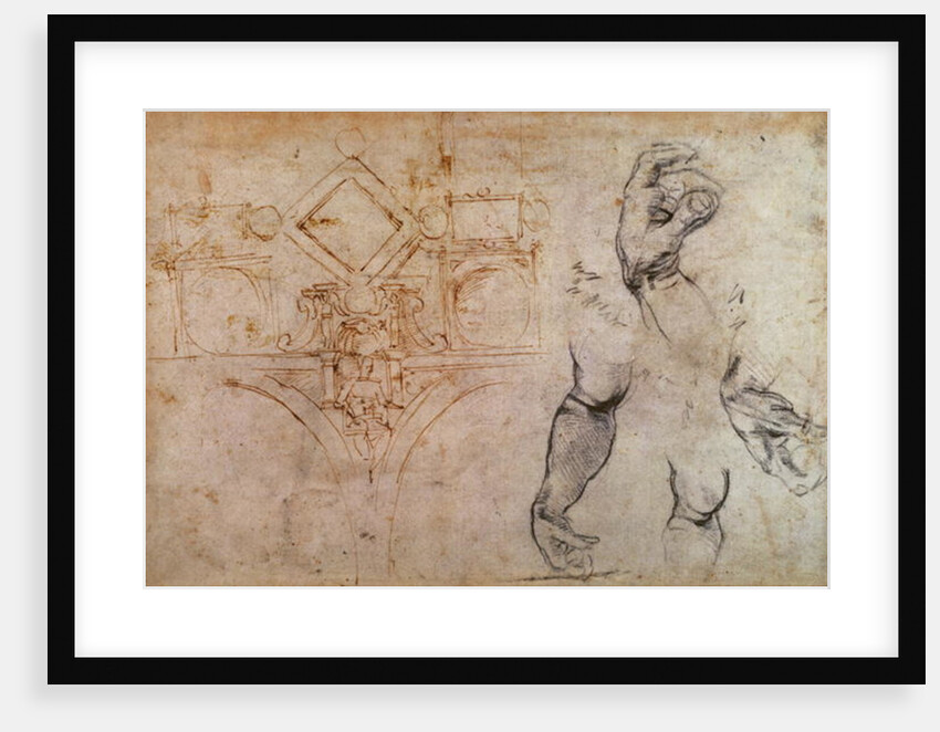 Scheme for the Sistine Chapel Ceiling, c.1508 by Michelangelo Buonarroti