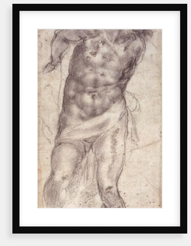 Figure Study by Michelangelo Buonarroti