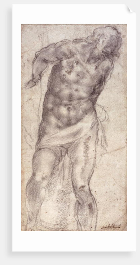 Figure Study by Michelangelo Buonarroti