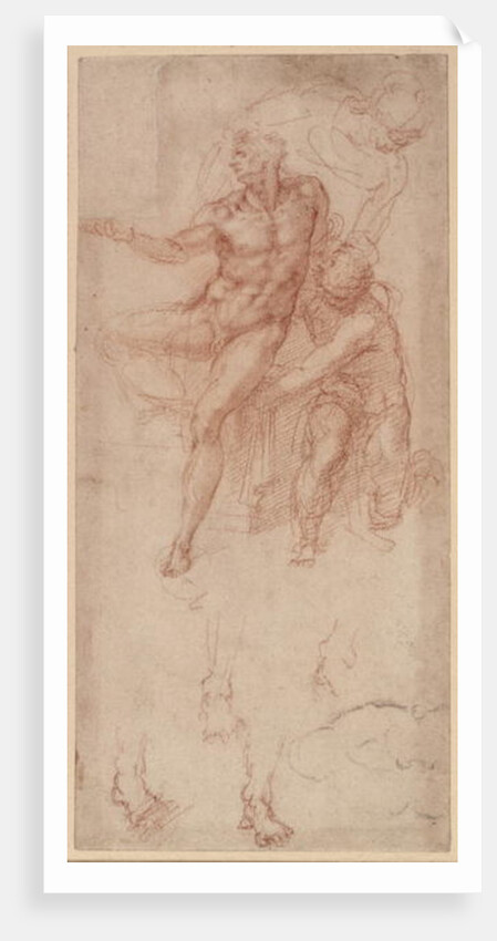 Figure Studies by Michelangelo Buonarroti