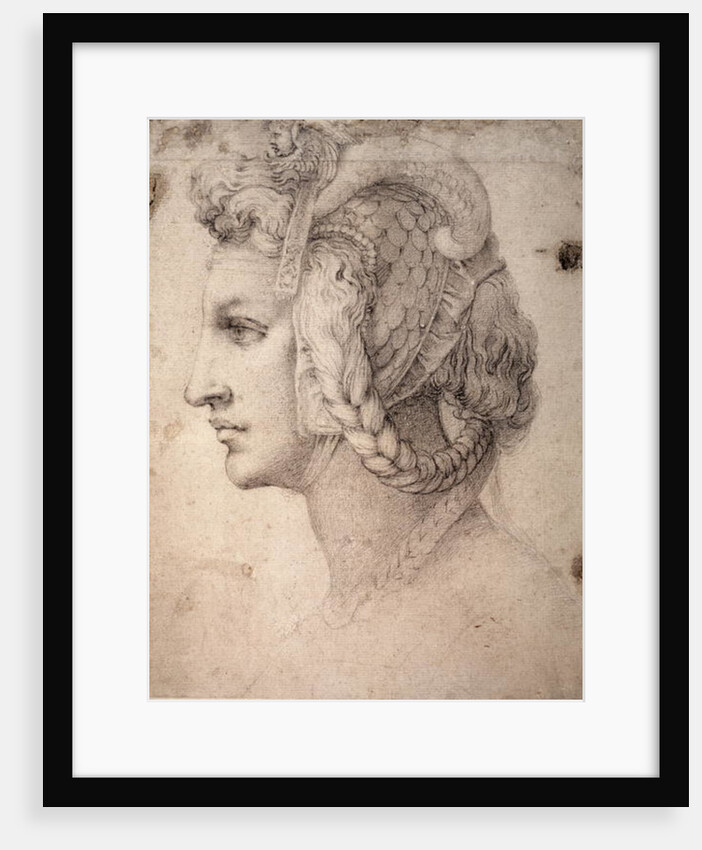 Study of Head by Michelangelo Buonarroti