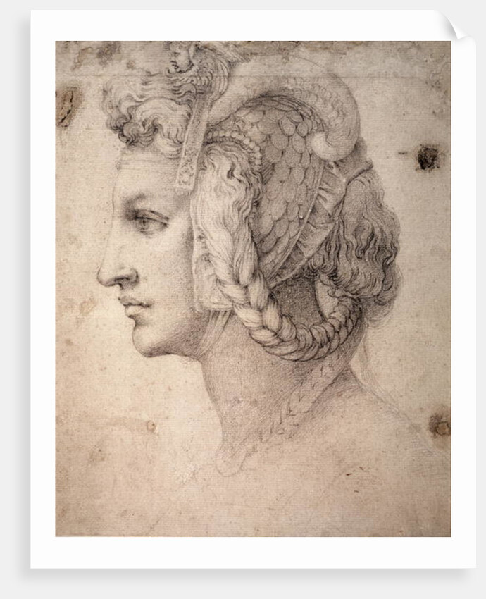 Study of Head by Michelangelo Buonarroti