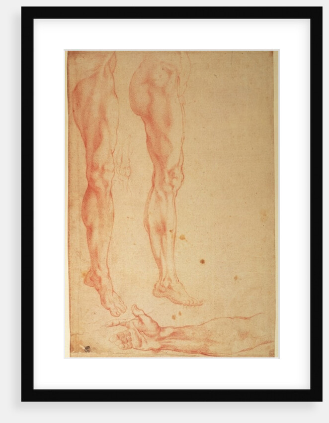 Studies of Legs and Arms by Michelangelo Buonarroti