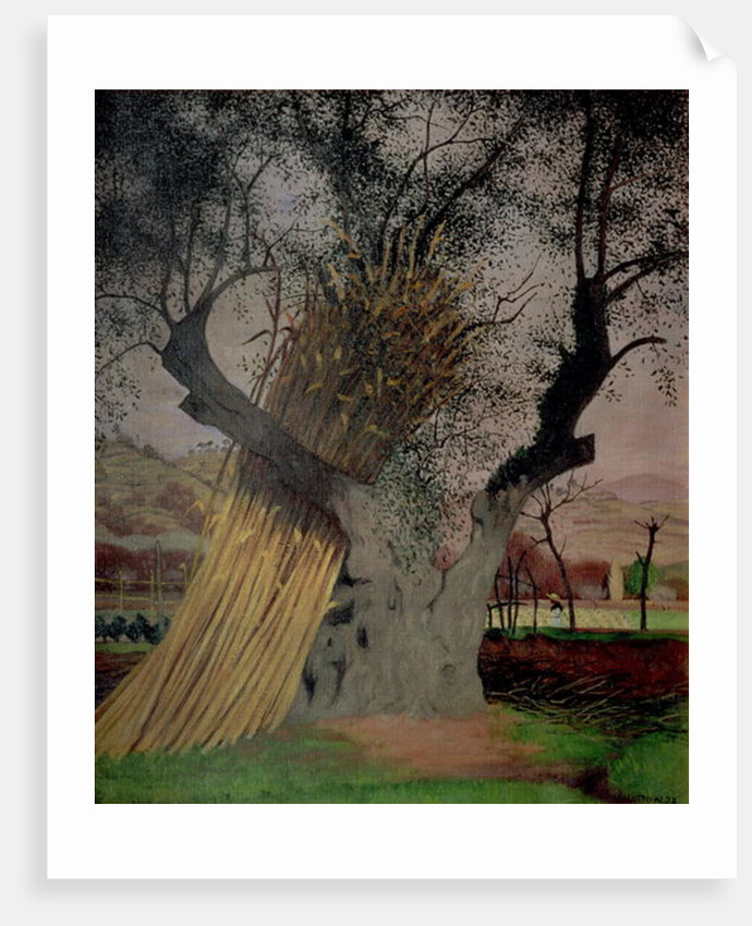 The Old Olive Tree, 1922 by Felix Edouard Vallotton