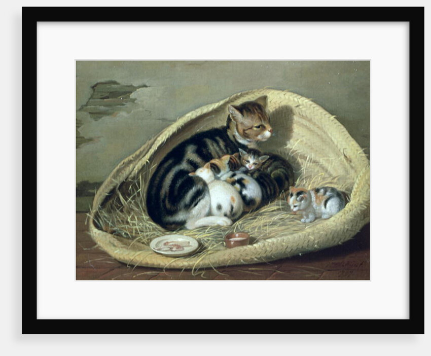 Cat with Her Kittens in a Basket by Samuel de Wilde