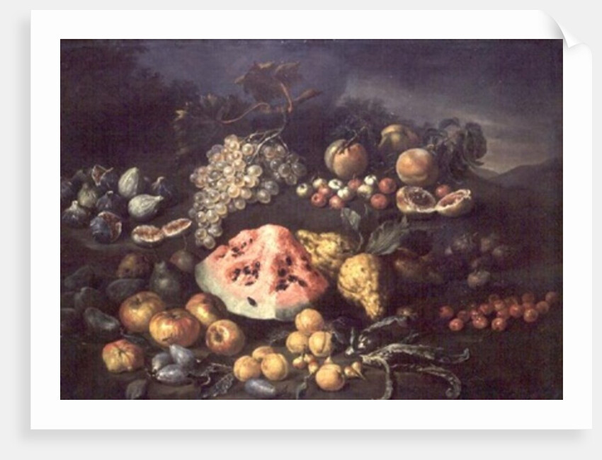 Still Life by Bartolomeo Bimbi