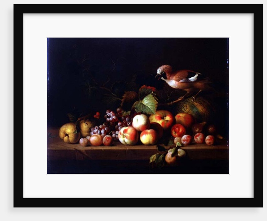 Still Life with Fruit, a Jay and a Parrot by Jakob Bogdani or Bogdany