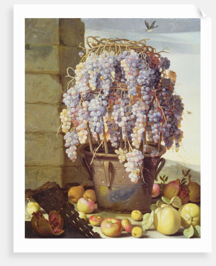Still Life of Fruit and Grapes by Luca Forte