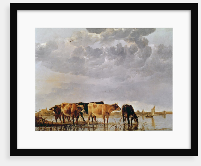 Cows in a River, c.1650 by Aelbert Cuyp