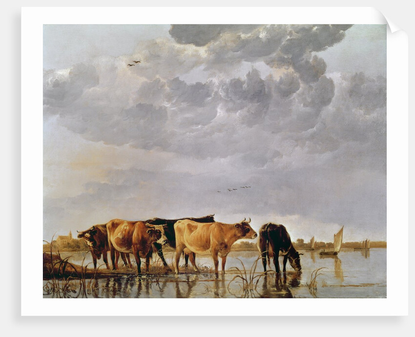 Cows in a River, c.1650 by Aelbert Cuyp
