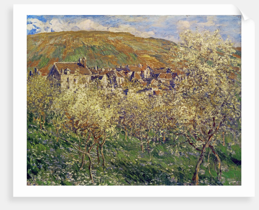 Plum Trees in Blossom, 1879 by Claude Monet