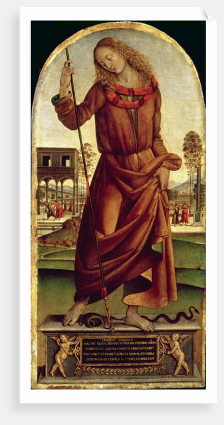 Tiberius Gracchus by Luca Signorelli