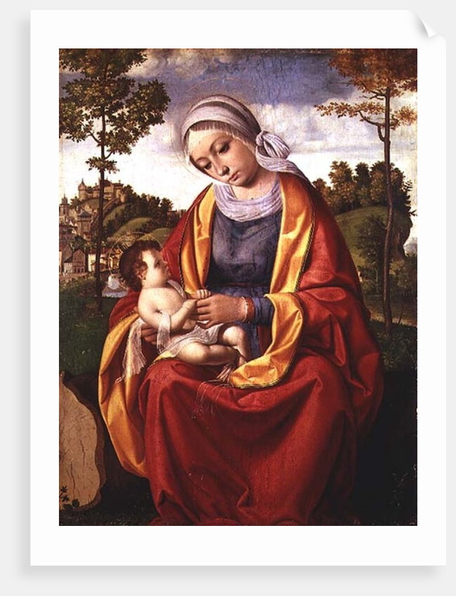 The Virgin and Child by Andrea Previtali