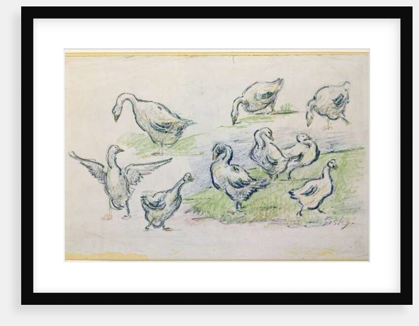 Ducks by Alfred Sisley