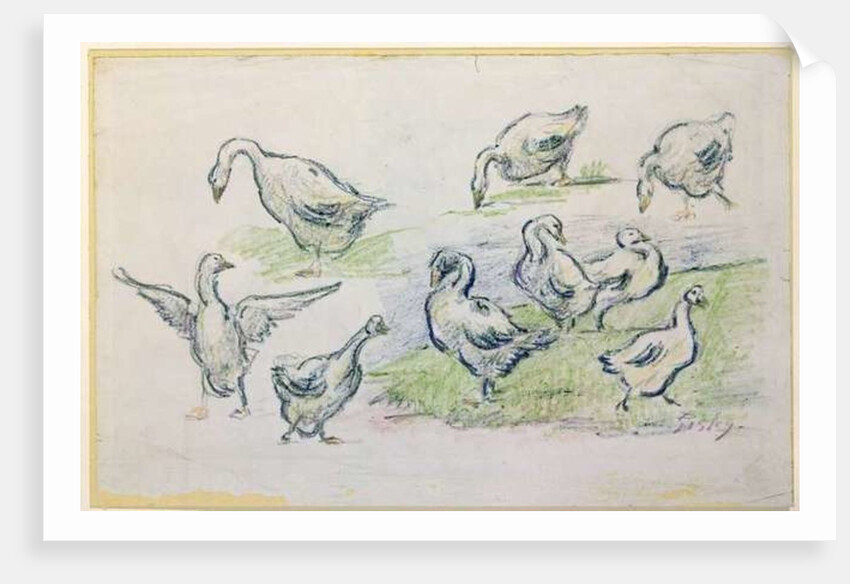 Ducks by Alfred Sisley