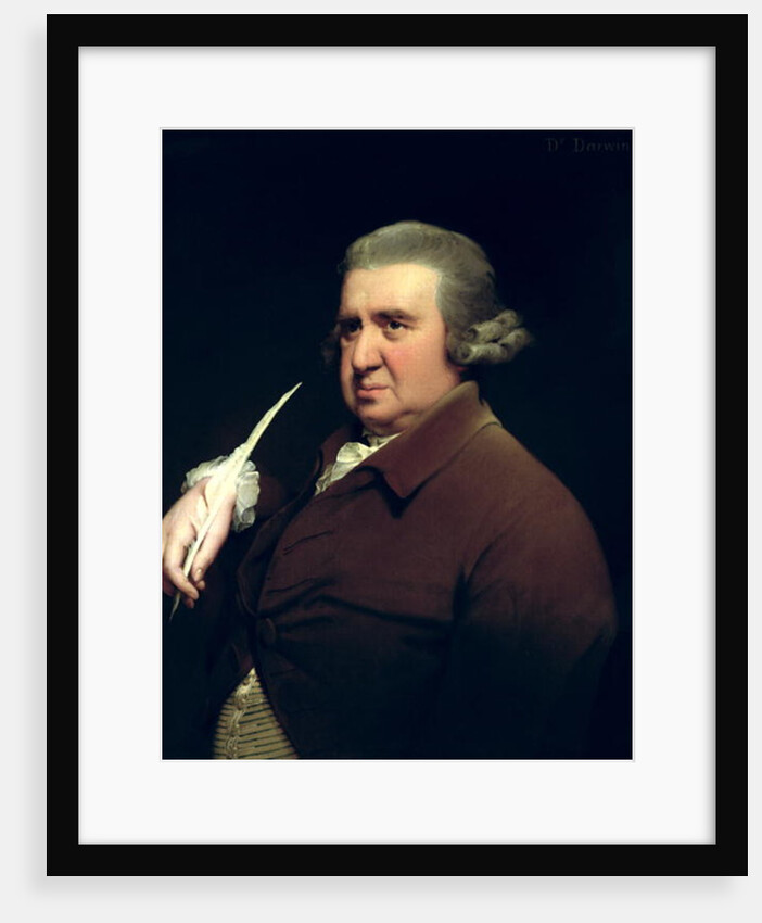 Portrait of Dr Erasmus Darwin scientist, inventor and poet, grandfather of Charles Darwin, 1792-93 by Joseph Wright of Derby