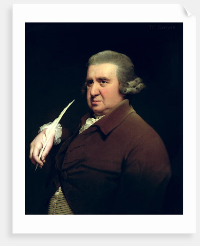 Portrait of Dr Erasmus Darwin scientist, inventor and poet, grandfather of Charles Darwin, 1792-93 by Joseph Wright of Derby