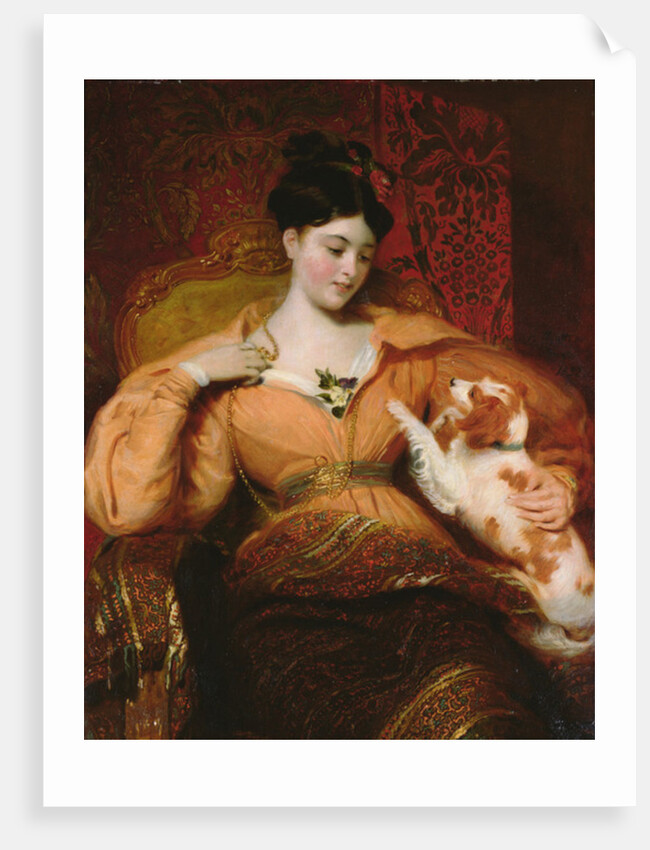 The Pet Spaniel by Henry Wyatt