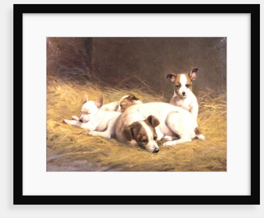 A Terrier with Three Puppies by Gabrielle Rainer-Istuanty