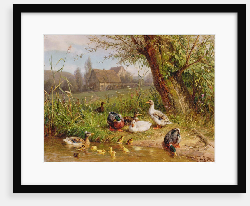 Mallard Ducks with their Ducklings by Carl Jutz