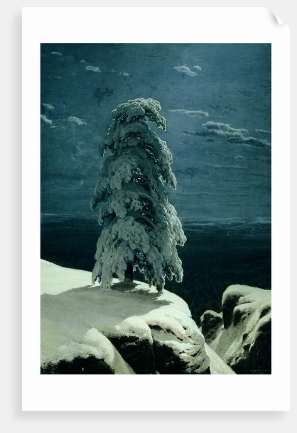 In the Wild North, 1891 by Ivan Ivanovich Shishkin