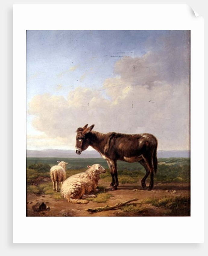 Ass and Sheep, 1849 by Eugene Joseph Verboeckhoven
