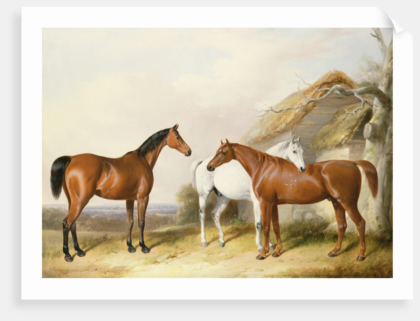 Outside the Stable, 1845 by William Barraud