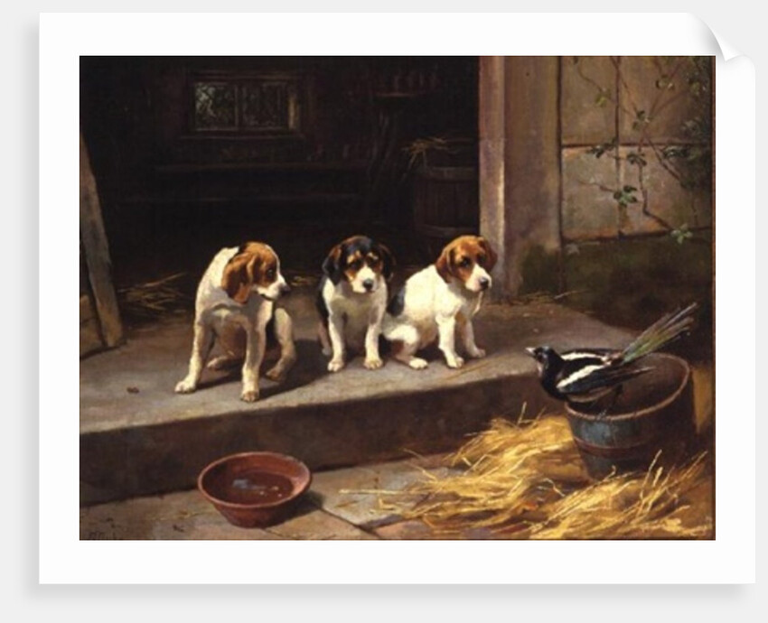 The Uninvited Guest by Alfred Duke