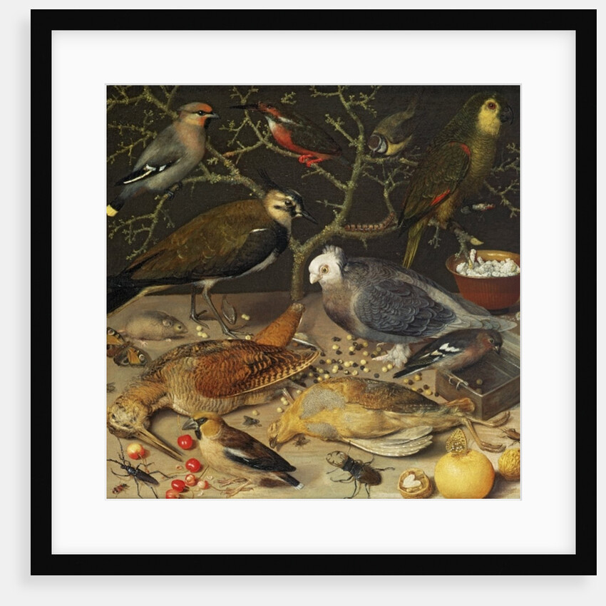 Still Life of Birds and Insects, 1637 by Georg Flegel