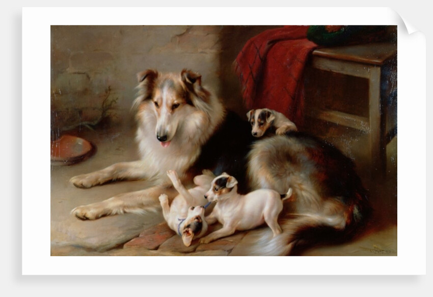 A Collie with Fox Terrier Puppies, 1913 by Walter Hunt