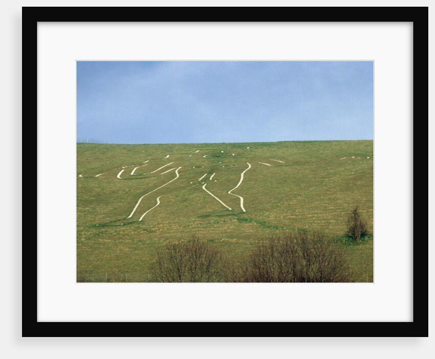 The Cerne Abbas Giant by Anonymous