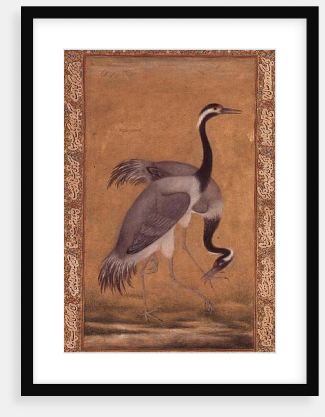 Cranes by Mansur, Jahangir Period, Mughal, 1775 by Indian School