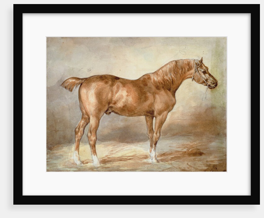 Horse in a Stable by Theodore Gericault